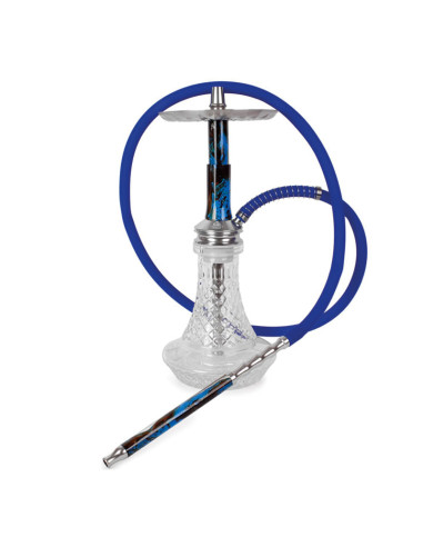 SHISHA ERASMUS TRITON MORADA 45CM